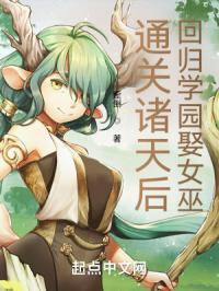 通关诸天后回归学园娶女巫