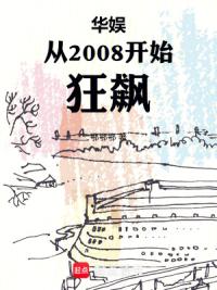 华娱从2008开始狂飙